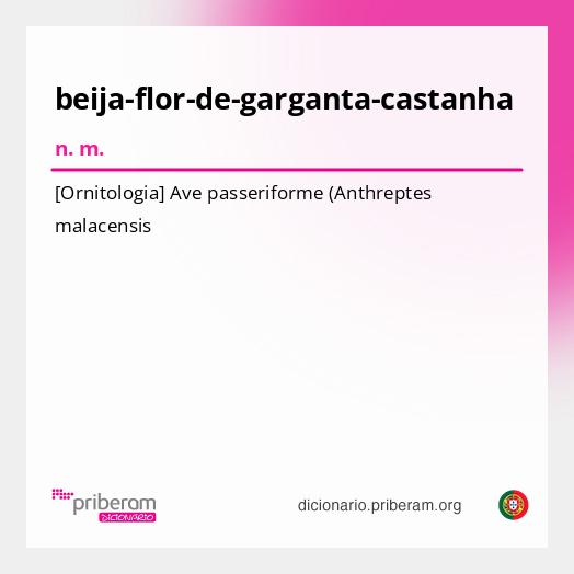 Significado de beija-flor-de-garganta-castanha